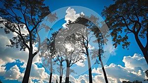 Desain tanpa judul - 1