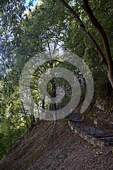 Descending paved path in a park