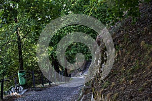 Descending paved path in a park