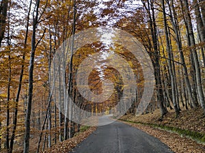 Descending road in Ciucas Mountains , Romania