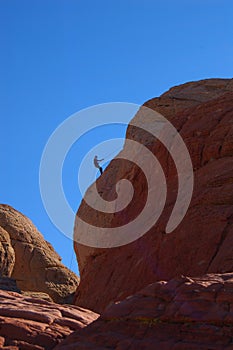 Descending rock climber