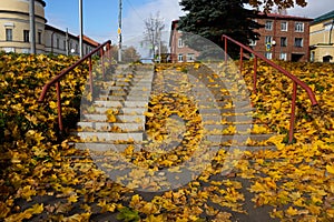 Descending the stairs in the autumn city park. A wide staircase with steps covered with fallen yellow autumn leaves