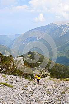 Descending from the top.