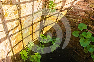 Descent into a brick well with a rusty metal staircase