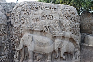 Descent of the Ganges and and Arjuna`s Penance at Mahabalipuram in Tamil Nadu, ancient Indian carvings