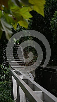 Descent of a Metal Walkway into the Lower Forest Area of Parc de la Villette photo