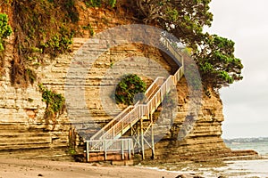 Descent to the sea, Whangaparaoa Peninsula, New Zealand