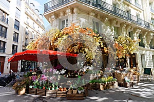 Deschamps Paris is a top wedding florist, based in France