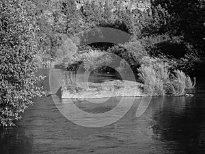 Deschutes River at Cline Falls