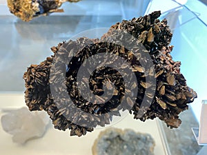 Descloizit from Tsumeb, Namibia or Descloizit aus Tsumeb, Namibia minerals and crystals in the exhibition Mount SÃ¤ntis