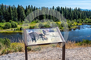 A description board of the classification of the largest deer in Grand Teton NP, Wyoming