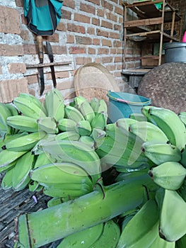 Descriptive: A close-up of a bunch of green bananas. photo