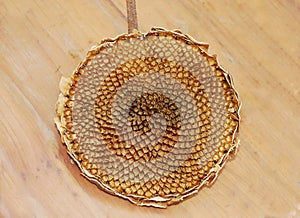Deseeded Sunflower Head