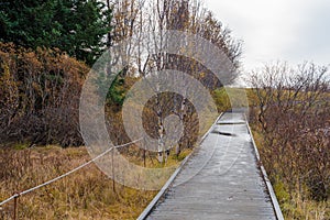 Deseerted Walkway in a Park in Autumn