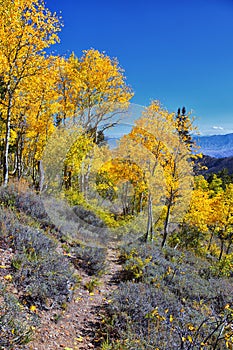 Deseret Peak hiking trail Stansbury Mountains, by Oquirrh Mountains Rocky Mountains, Utah. USA