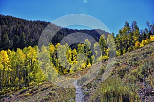 Deseret Peak hiking trail Stansbury Mountains, by Oquirrh Mountains Rocky Mountains, Utah. USA