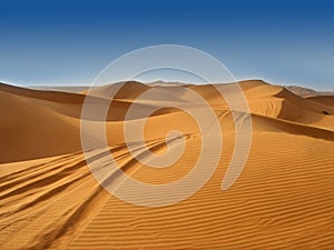 The desert photo