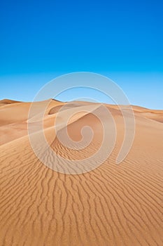 Desert