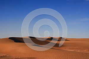 Desert