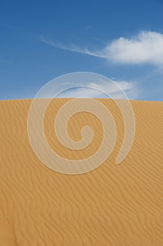 Desert
