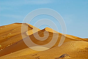 Desert