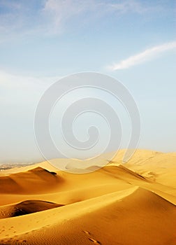 The Desert photo
