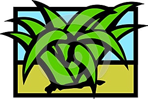 Desert agave or maguey plant vector illustration photo