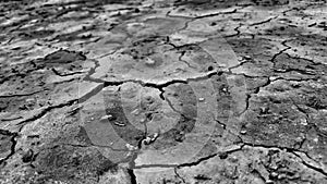 Desert alone sad night