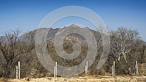 Desert along Mexican Highway 1 between San Jose del Cabo and Santiago in Baja California Sur. photo