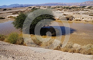 Desert Arava with puddles after rain