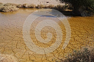 Desert Arava with puddles after rain