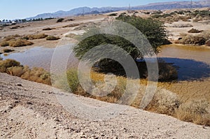 Desert Arava with puddles after t rain