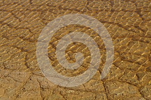 Desert Arava with puddles after t rain