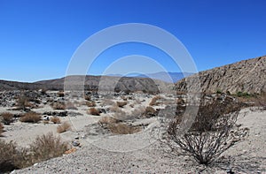 Desert Area near Thousand Palms Oasis Preserve