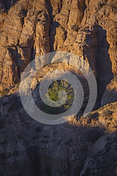 Desert Badlands Landscape