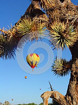 Desert Balloon Race