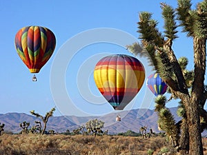 Desert Balloons