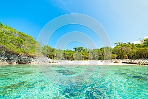 Desert beach viewed from the sea, turquoise blue water, tropical paradise, travel destination, Kei Island, Moluccas, Indonesia, no