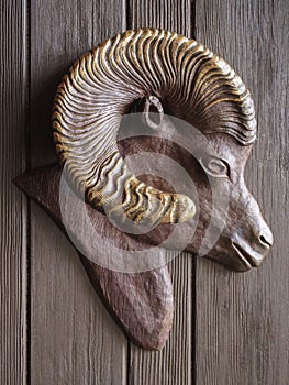 Desert Bighorn Sheep, door handle