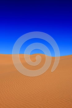 Desert with a blue sky