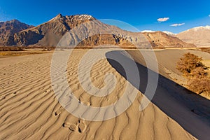 Desert on Blue sky