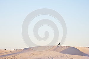 Desert blue sky, motorbike and sports person celebrate travel, journey or off road adventure, freedom and victory