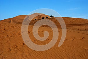 Desert with blue sky and stone camel