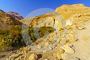 Desert Bokek valley, Dead Sea coast photo