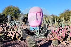 Desert Botanical Garden Phoenix Arizona