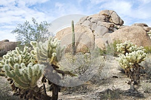 Desert buttes in Scottsdale, Arizona photo