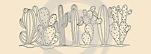 Desert cacti hand drawn vector illustration