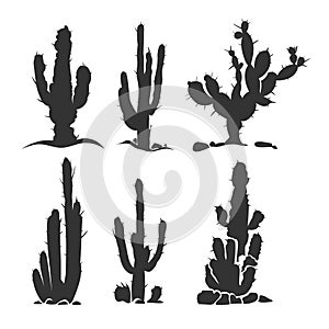 Desert cactus vector silhouette plants on white