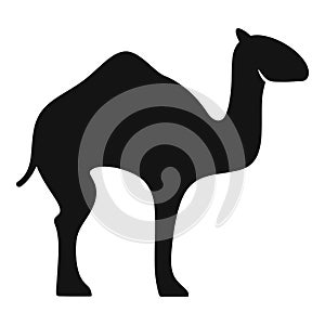 Desert camel icon, simple style