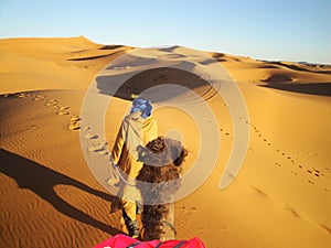 Desert from camel point of view